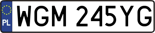 WGM245YG