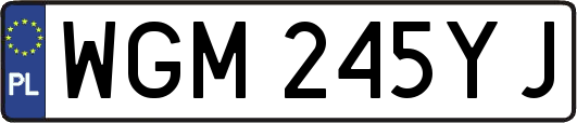 WGM245YJ