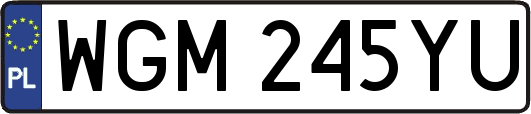 WGM245YU