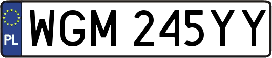 WGM245YY
