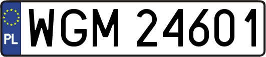 WGM24601