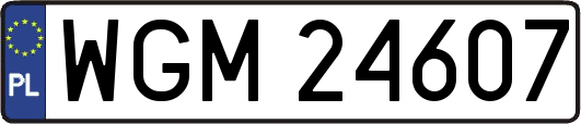 WGM24607