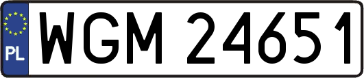 WGM24651