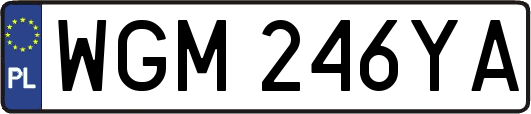 WGM246YA