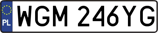 WGM246YG