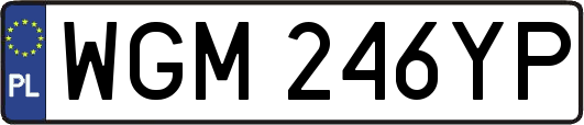 WGM246YP