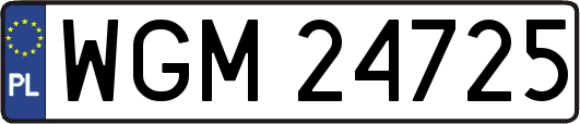 WGM24725