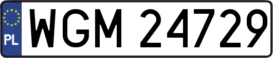 WGM24729
