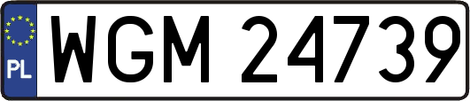 WGM24739