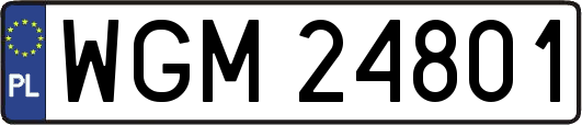 WGM24801