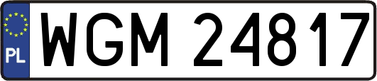 WGM24817