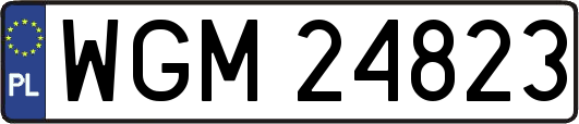 WGM24823