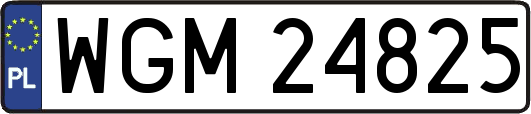 WGM24825