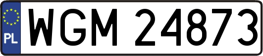 WGM24873