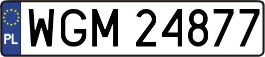 WGM24877