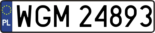 WGM24893