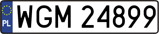 WGM24899