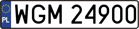 WGM24900