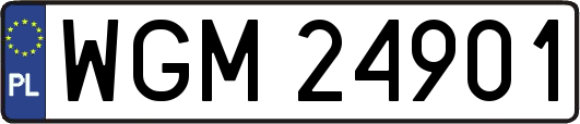 WGM24901