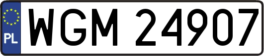 WGM24907