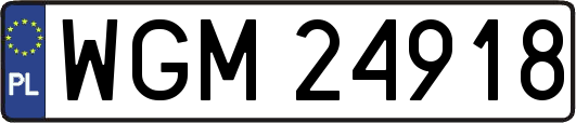 WGM24918