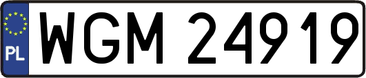 WGM24919