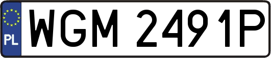 WGM2491P
