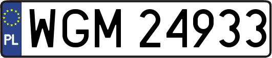 WGM24933