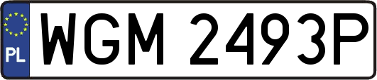 WGM2493P