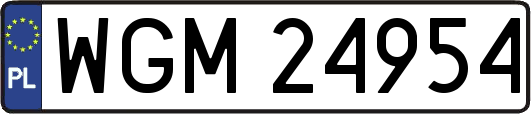 WGM24954