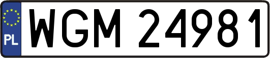 WGM24981