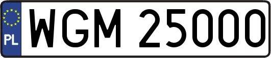 WGM25000
