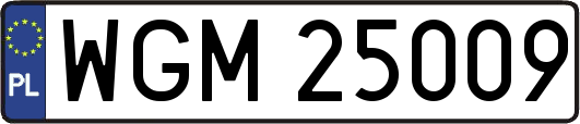 WGM25009