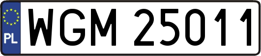 WGM25011