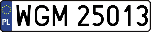 WGM25013