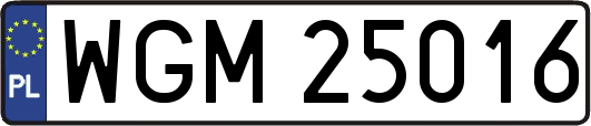 WGM25016