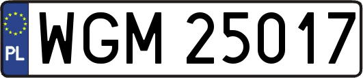 WGM25017