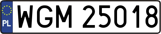 WGM25018