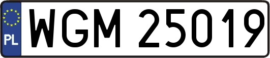 WGM25019