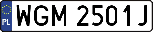 WGM2501J