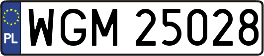 WGM25028