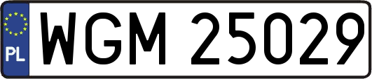 WGM25029
