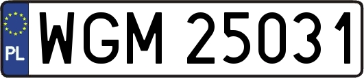 WGM25031