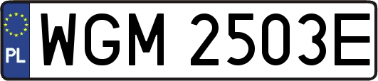 WGM2503E