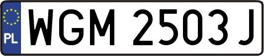 WGM2503J