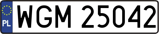 WGM25042