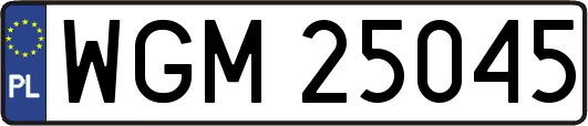 WGM25045