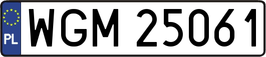 WGM25061