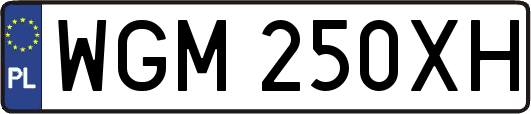 WGM250XH