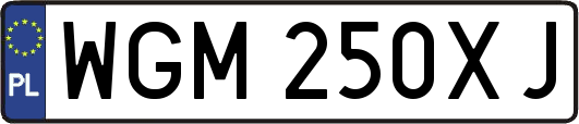 WGM250XJ